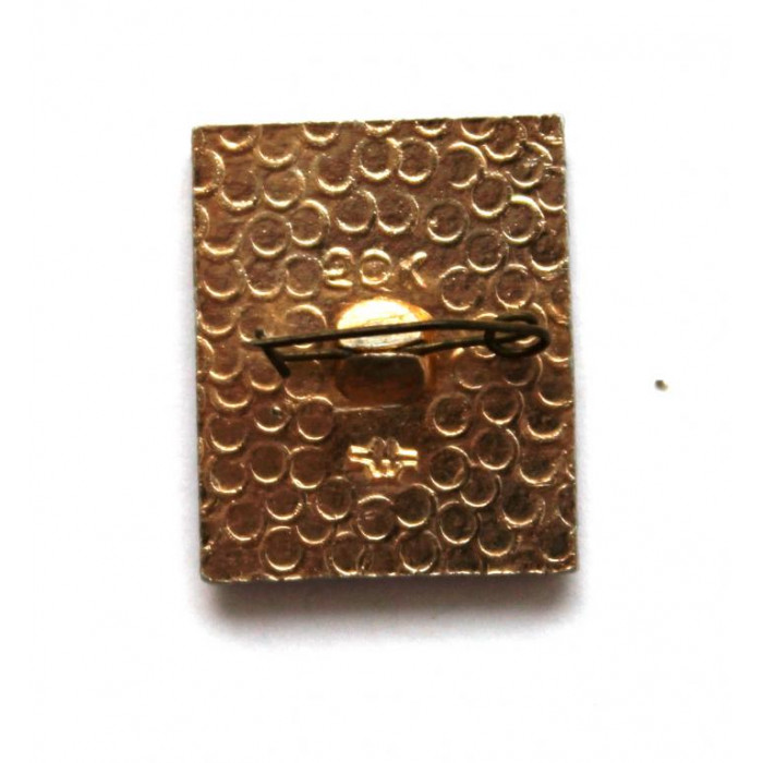 СССР нагрудный знак «ГЕРБЫ РЕСПУБЛИК СССР». Туркменская ССР