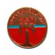 СССР 1982 нагрудный знак «350 ЛЕТ ВХОЖДЕНИЯ ЯКУТИИ В СОСТАВ РОССИИ» (ЯКУТИЯ)