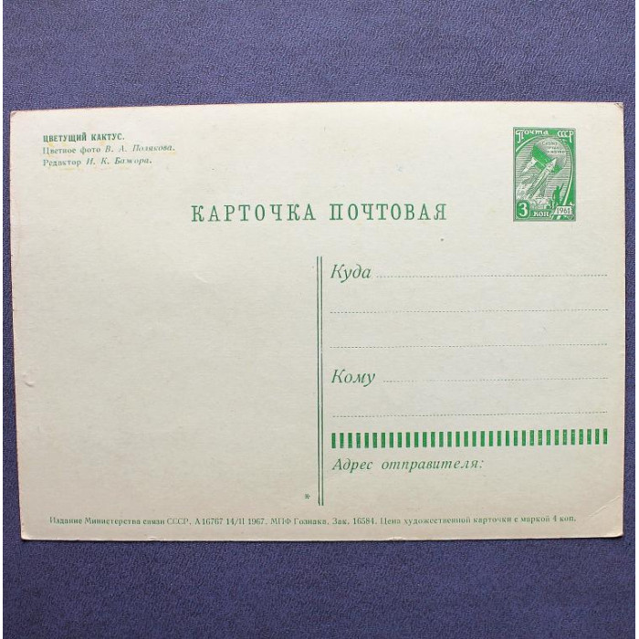 СССР почтовая открытка «ЦВЕТУЩИЙ КАКТУС» (Мин связи СССР, 1967) Фото В. Полякова !! чистая