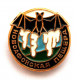 СССР (Грузия) нагрудный знак «НОВОАФОНСКАЯ ПЕЩЕРА»