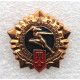 СССР нагрудный знак «ГОТОВ К ТРУДУ И ОБОРОНЕ СССР» II ступень в золоте. Для военнослужащих (ЭПРК)