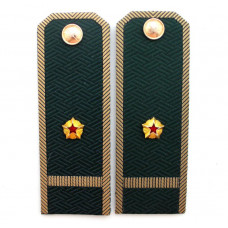 Погоны младшего лейтенанта Таможенной службы ФТС РФ (14,0 см)