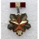 СССР 1974 нагрудный знак «50 лет СибВО». Сибирский Военный Округ