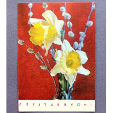 СССР почтовая открытка «С ПРАЗДНИКОМ!» (Мин связи СССР, 1969) Фото И. Дергилева. НАРЦИСС