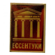 СССР нагрудный знак «ЕССЕНТУКИ». Грязелечебница имени Семашко (лак)