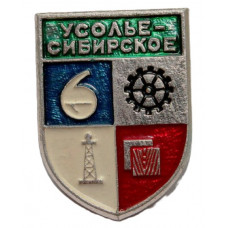 СССР нагрудный знак «УСОЛЬЕ-СИБИРСКОЕ»