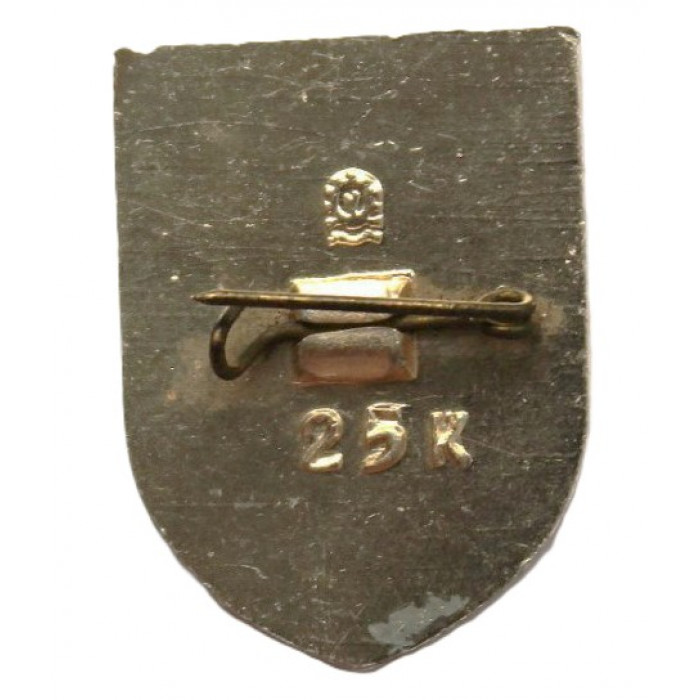 СССР нагрудный знак «УСОЛЬЕ-СИБИРСКОЕ»