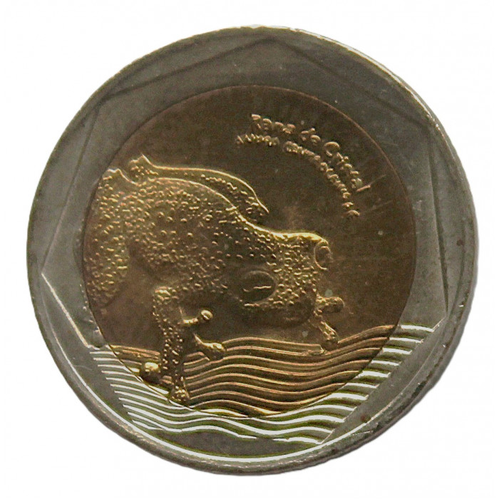 КОЛУМБИЯ 500 песо 2012 UNC. Стеклянная лягушка