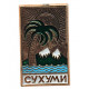 СССР (Грузия) нагрудный знак «СУХУМИ»