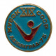 СССР нагрудный знак «XIX КУБОК СССР». Ленинград 1975 год СССР нагрудный знак «XIX КУБОК СССР». Ленинград 1975 год