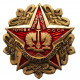 СССР нагрудный знак «СПАРТАКИАДА НАРОДОВ СССР». Шахматы. Готов к труду и обороне. ГТО