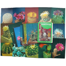 СССР комплект из 24 открыток «КАКТУСЫ» (Планета, 1984) Полный, Оригинальный.