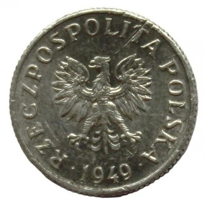 ПОЛЬША 1 грош 1949 (Y# 39). Один год чеканки