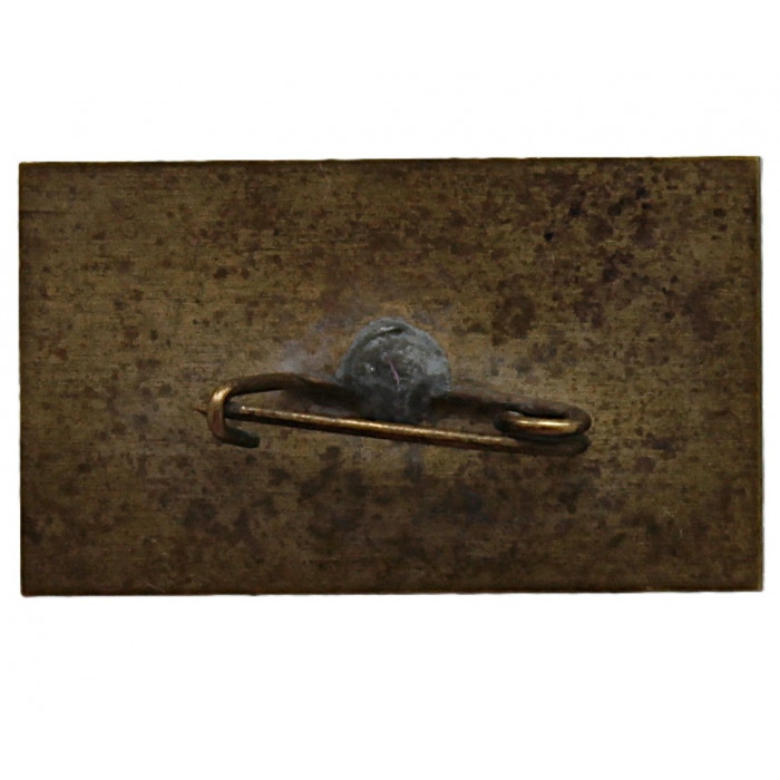 СССР нагрудный знак «ТУРИСТ». Крым. «Орлиный залет»  СССР нагрудный знак «ТУРИСТ». Крым. «Орлиный залет»