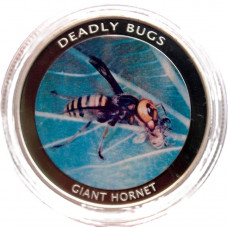 ЗАМБИЯ 1000 квача 2010. Гигантский шершень