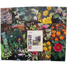 СССР набор из 25 открыток «ЭКСКУРСИЯ В ПРИРОДУ». Выпуск 2 - Лекарственные растения (полный) 1977 год