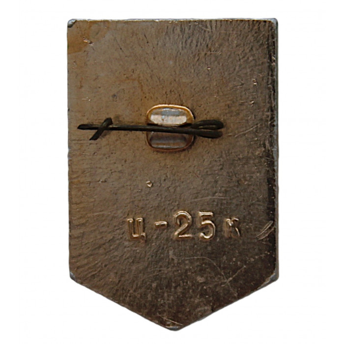 СССР нагрудный знак "Псков". Гремячая башня