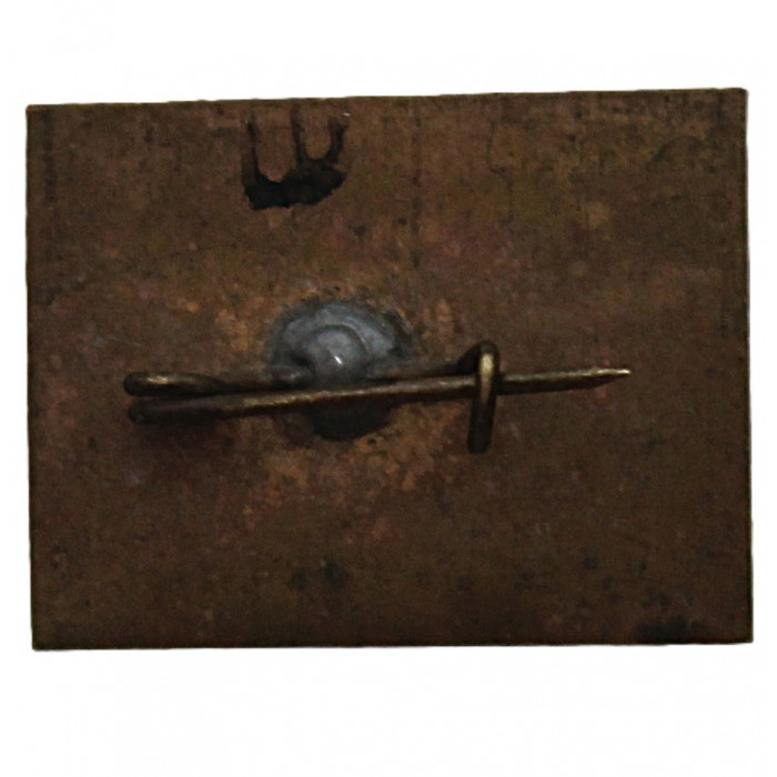 СССР нагрудный знак "Кисловодск". Каскадная лестница (лак)