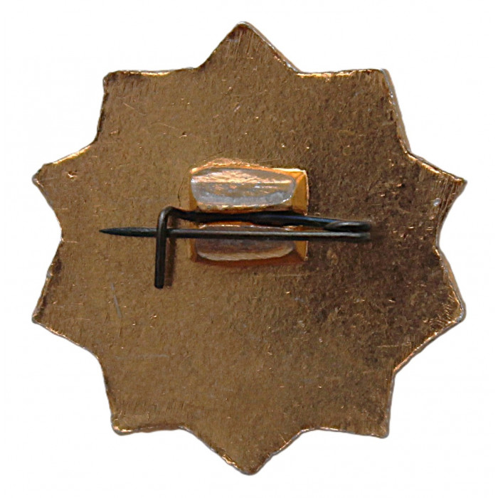 СССР нагрудный знак "ОСВОД РСФСР". Общество спасения на водах. Неврученка