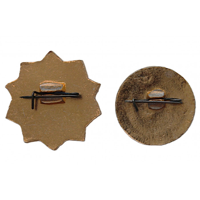 СССР пара нагрудных знаков "ОСВОД РСФСР". Неврученка. Общество спасения на водах