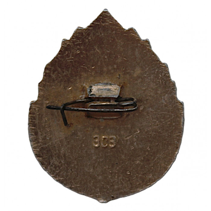 СССР нагрудный знак "Юный друг природы РСФСР".