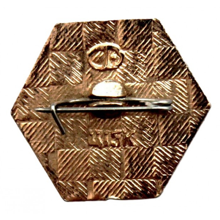 СССР нагрудный знак "Волгоград". Город-герой. Планетарий