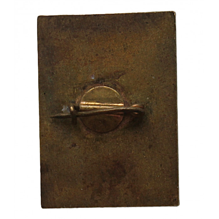 СССР 1974 нагрудный знак "30 лет освобождения города Пустошка". Псковская область (тяжелый)