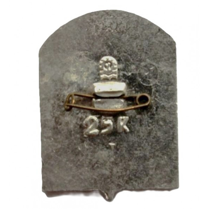 СССР нагрудный знак "Железногорск-Илимский" (Иркутская область)