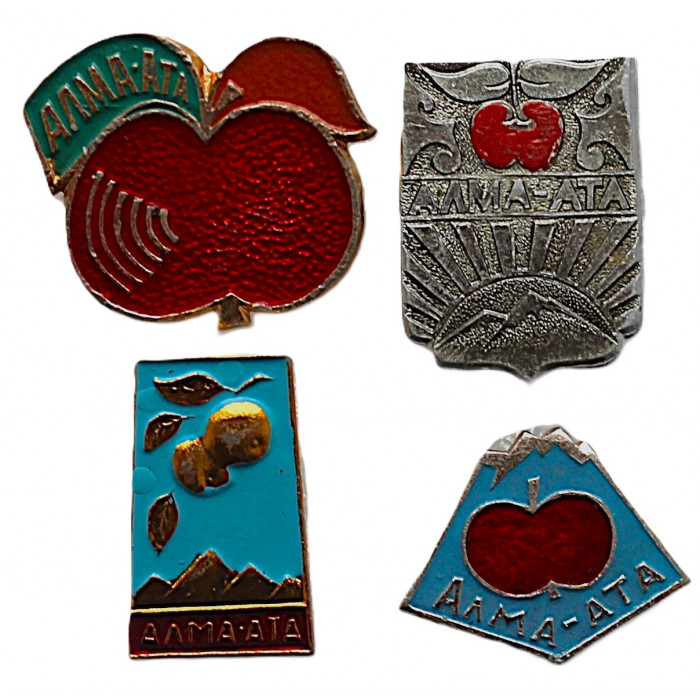 СССР нагрудный знак "Алма-Ата". Яблоко. Комплект из 4 знаков