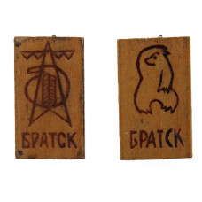 СССР пара нагрудных знаков "Братск". Иркутская область (дерево)