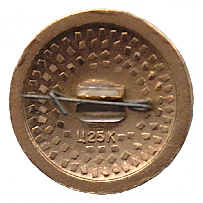 СССР нагрудный знак "Барнаул". Алтайский край