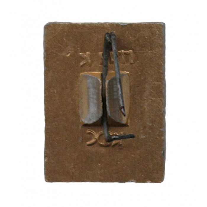 СССР нагрудный знак "Эвенкия". Эвенкийский автономный округ