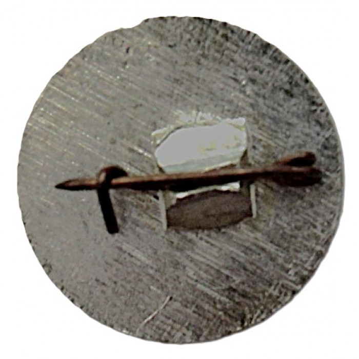 СССР нагрудный знак "Новосибирск". Дом ученых Сибирского отделения Академии Наук. СО АН СССР