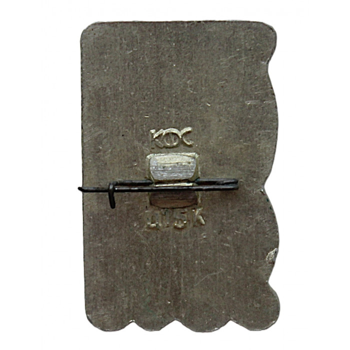 СССР нагрудный знак "Бирюса". Сплав по реке (Красноярский край)