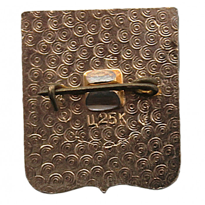 СССР нагрудный знак "Дивногорск" (Красноярский край)