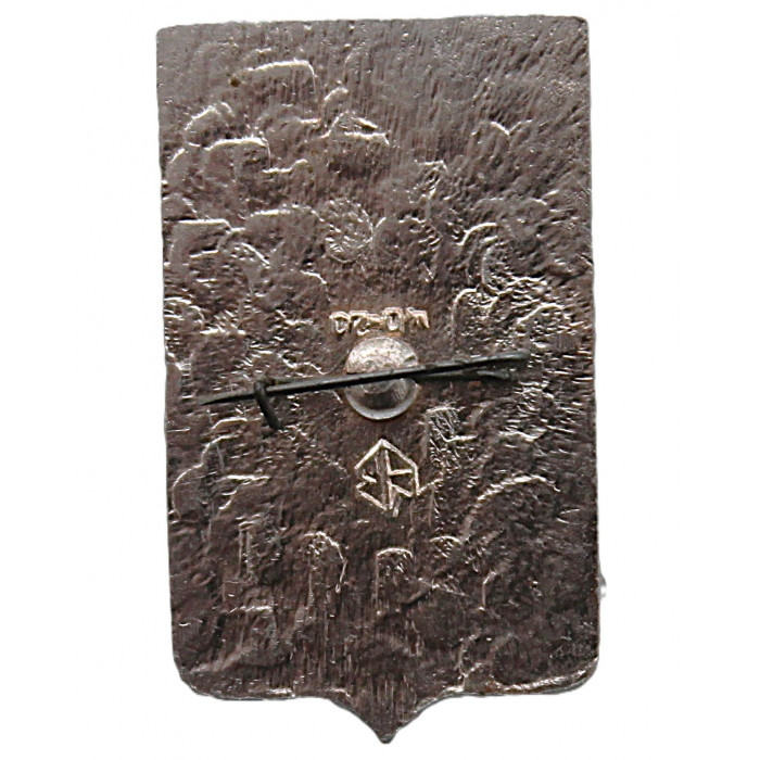 СССР нагрудный знак "Минусинск" (Красноярский край)