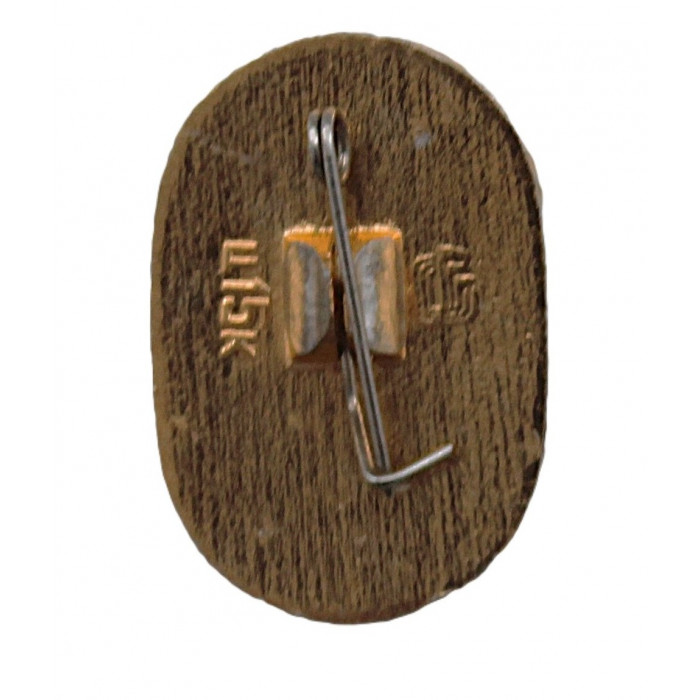 СССР нагрудный знак "Парус".  Парусный спорт