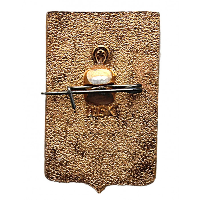 СССР нагрудный знак "Беднодемьяновск" Сейчас Спасск. Пензенская область (Гербы городов СССР)