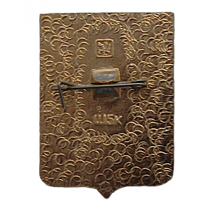 СССР нагрудный знак "Брянск" (Брянская губерния)