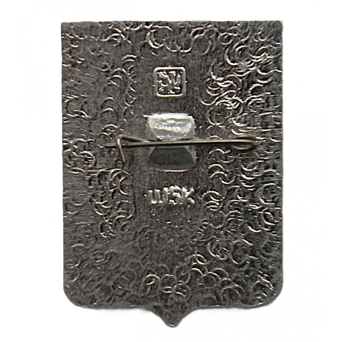 СССР нагрудный знак "Стародуб" (Брянская губерния)