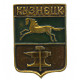 СССР нагрудный знак "Кузнецк" (Саратовская губерния)