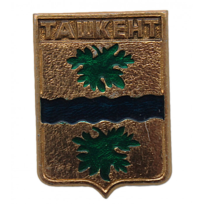 СССР нагрудный знак "Ташкент" (Сырдарьинская область)