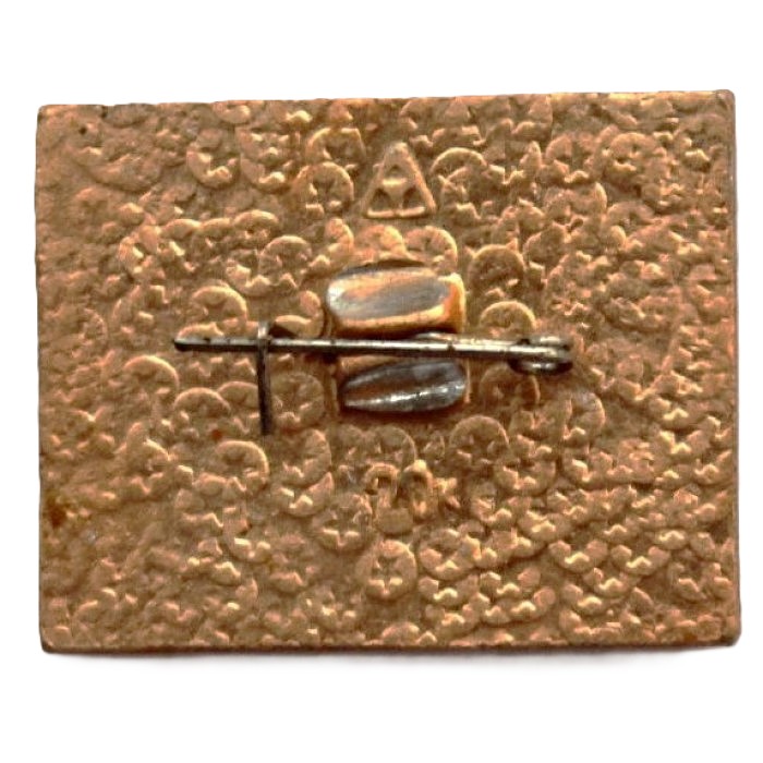 СССР нагрудный знак "Владимир". Собака на Дмитриевском соборе (лак)