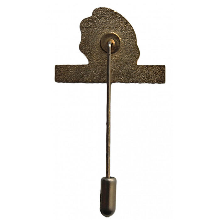 Знак на игле "Tomahawk". Охранные системы (новый)