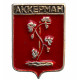 СССР нагрудный знак "Аккерман" (Бессарабская губерния) уменьшенный
