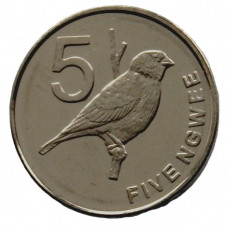ЗАМБИЯ 5 нгве 2012 UNC. Птица "Райская вдовушка"