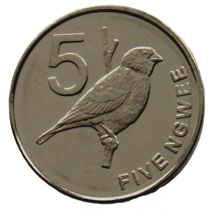 ЗАМБИЯ 5 нгве 2012 UNC. Птица "Райская вдовушка"