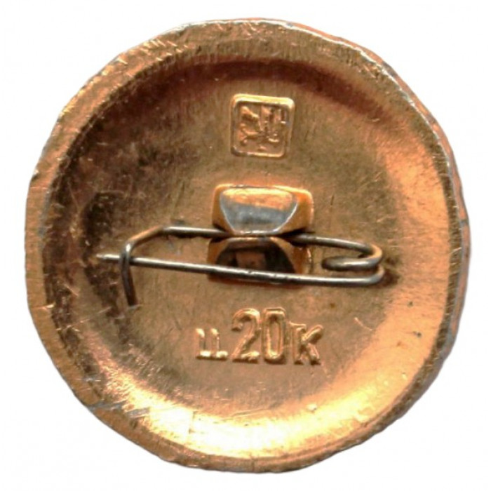 СССР нагрудный знак "Камышин". Древний герб