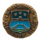 СССР нагрудный знак "Кирсанов". Древний герб