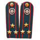 Погоны полковника МЧС РФ (эмблема с просечками)